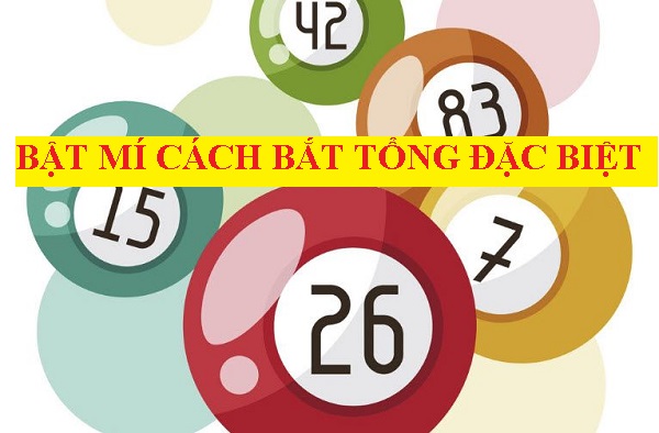 cach-bat-tong-dac-biet1- Bật mí 3 cách bắt tổng đặc biệt khi chơi lô đề miền Bắc